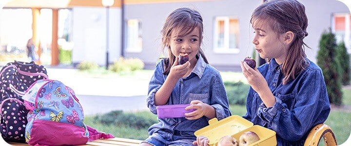 Gestão escolar participativa | Sponte